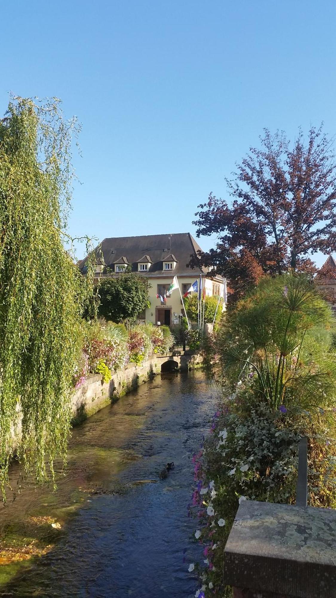 Meubles Du 25 N3 Studio 1Er Etage นีเดอร์บรอนน์-เลส์-แบ็งส์ ภายนอก รูปภาพ